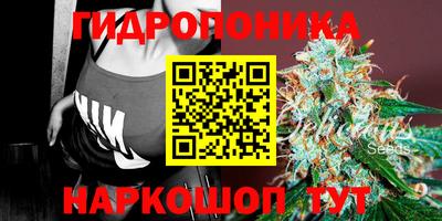 мдма Новодвинск