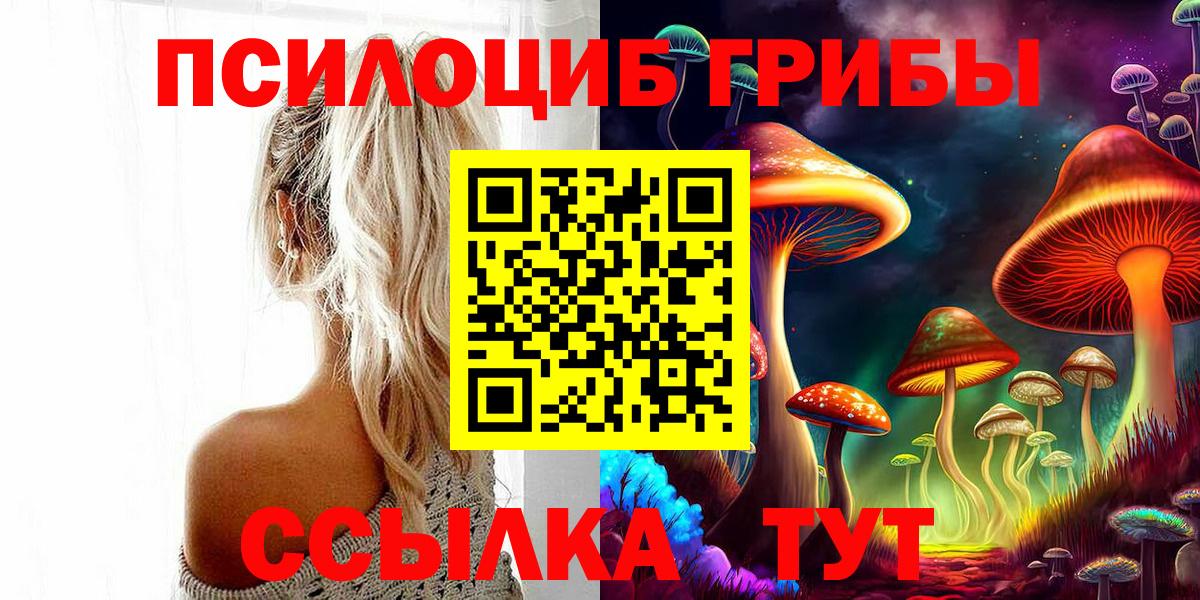 Шатура  Псилоцибиновые грибы Magic Shrooms  где продают наркотики  Вход с VPN 