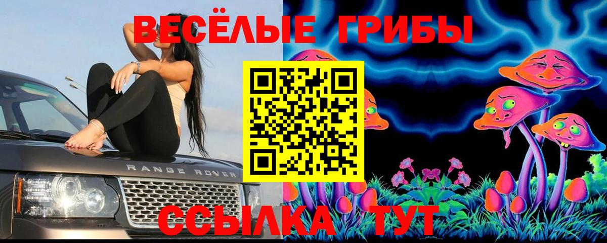 Псилоцибиновые грибы мухоморы Шатура